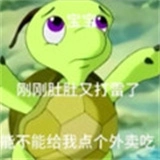  宝宝肚肚打雷啦