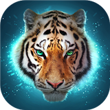 虎 V3.2.8