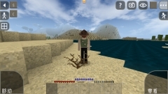 生存战争2远古之旅手机版(5)