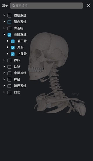 3dbody解剖软件(5)