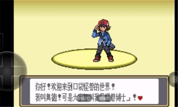 口袋妖怪黑白最新版(3)