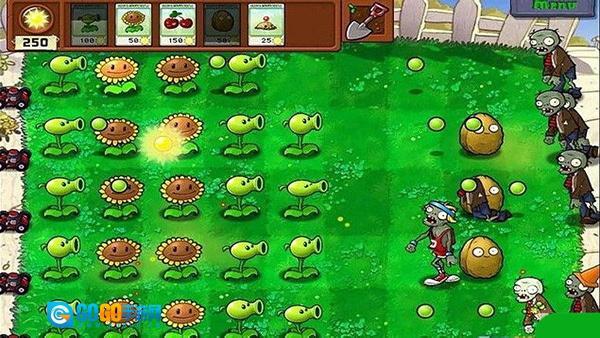 植物大战僵尸2026中文版图1