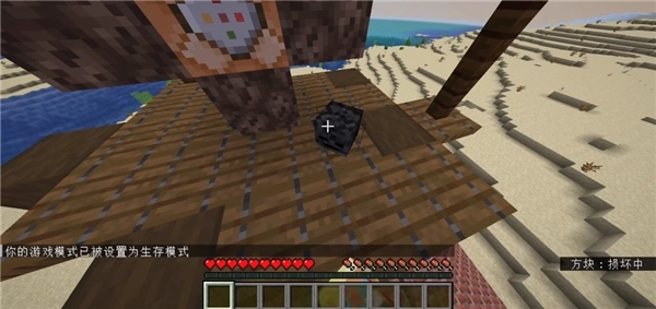 真正的凋零风暴(2)