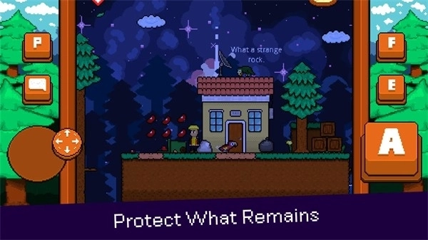 最后的金刚鹦鹉手机版(4)