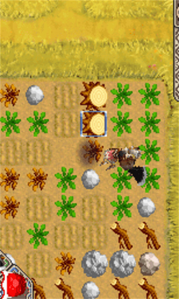 牧场物语符文工房3官方版图1