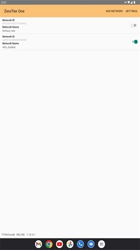 Zerotier One 图5