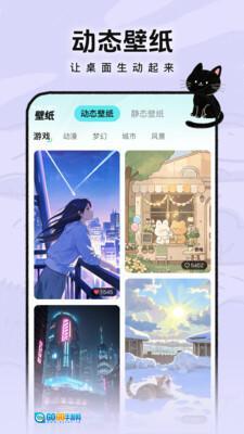 灵动皮肤小组件图3