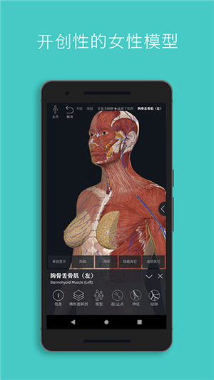 Complete Anatomy中文  安卓版图3