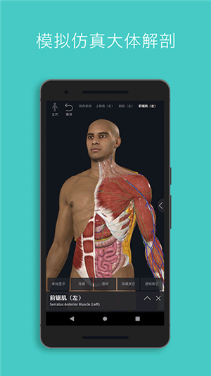 Complete Anatomy中文  安卓版图4
