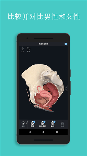 Complete Anatomy中文  安卓版图5