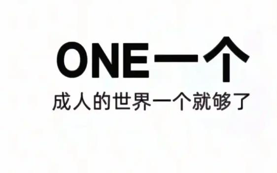 one一个成年版