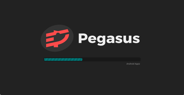 pegasus官方版图1