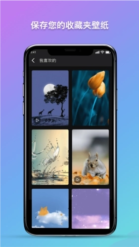 秀秀壁纸3D动态壁纸图2