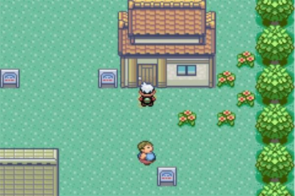 口袋妖怪绿宝石3中文版图3