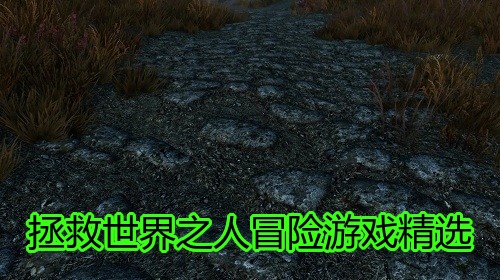 拯救世界之人冒险游戏精选