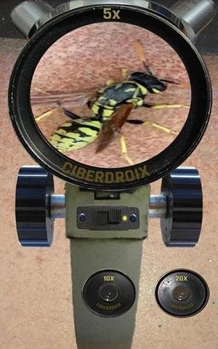 手机显微镜现实(3)