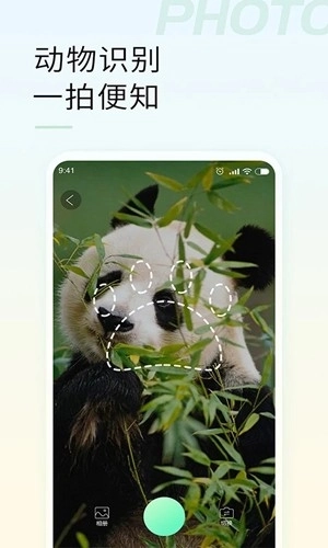 智能拍照识物(2)