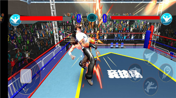 格斗之王2单机版截图3