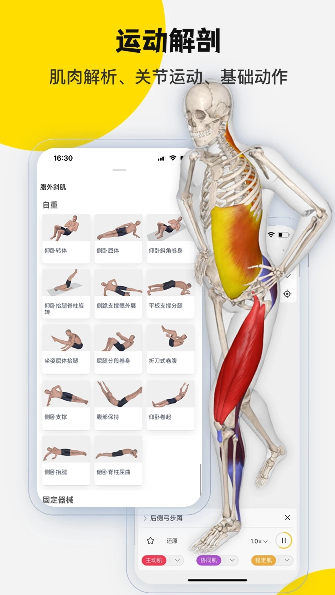 3dbody解剖软件