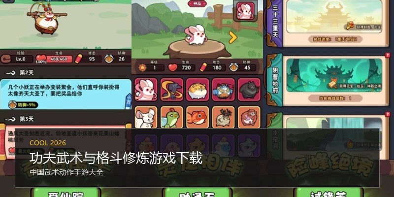 功夫武术与格斗修炼游戏下载