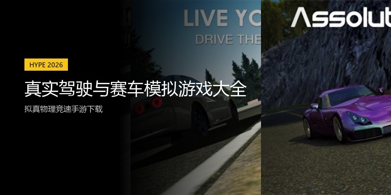 真实驾驶与赛车模拟游戏大全