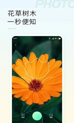 智能拍照识物图4