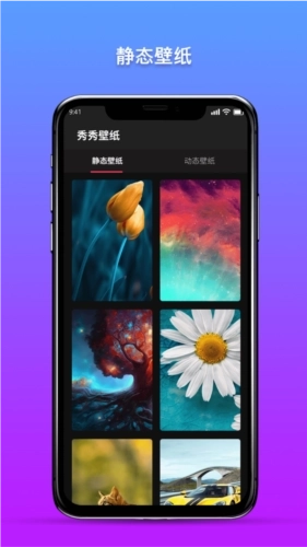 秀秀壁纸3D动态壁纸