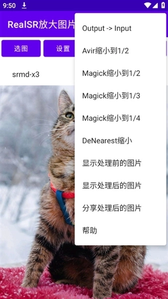 RealSR图片放大最新版