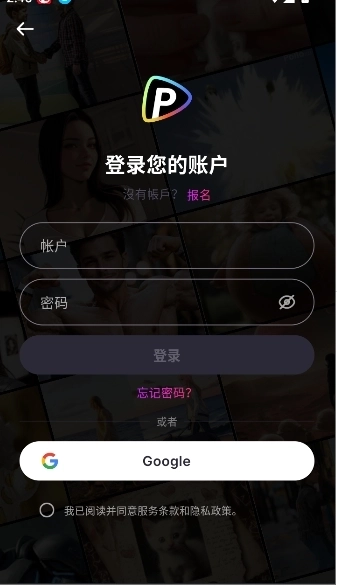 polloai正版图3