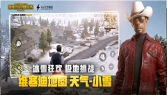 绝地求生刺激战场手机版(3)