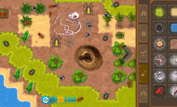 昆虫生活沙盒图4