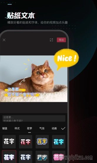 剪映手机版(4)