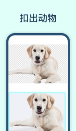 迅捷抠图(4)