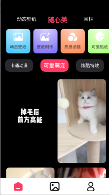 火花实况壁纸图3