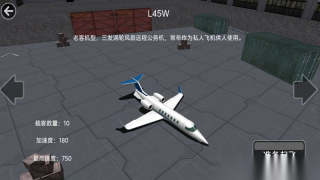 特技飞行驾驶模拟(2)