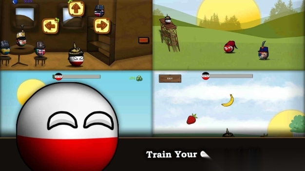 国家球欧洲1980(3)