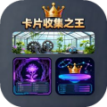 卡片收集之王