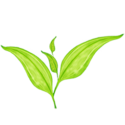 生态大师软件