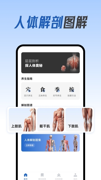 人体解剖图集(1)