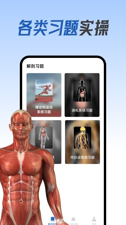 人体解剖图集(2)