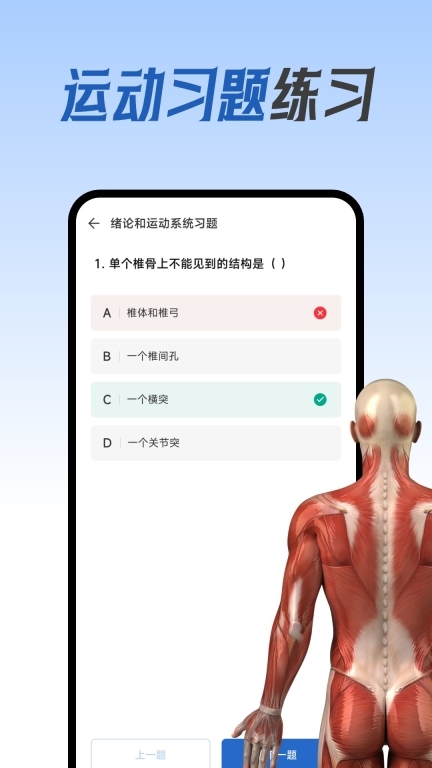 人体解剖图集(3)