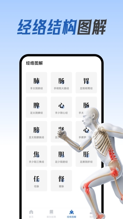 人体解剖图集(4)