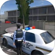 真实警车驾驶模拟器