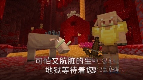 我的世界pe版图3