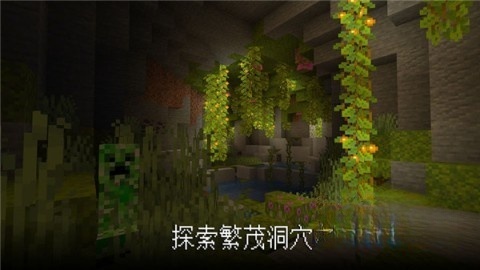 我的世界pe版图5