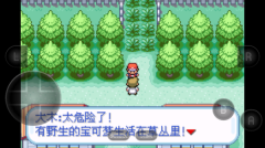 口袋妖怪萌娘版图3