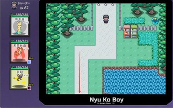 宝可梦我的迷之规则(4)