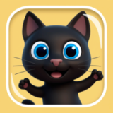 猫咪行动