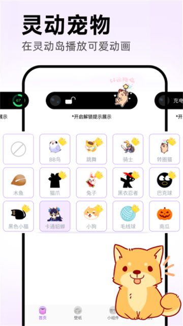 灵动坞小组件(2)