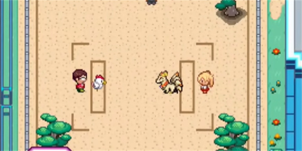 宝可梦我的迷之规则(9)